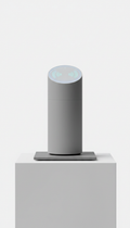 Smart home assistant with dynamic voice recognition